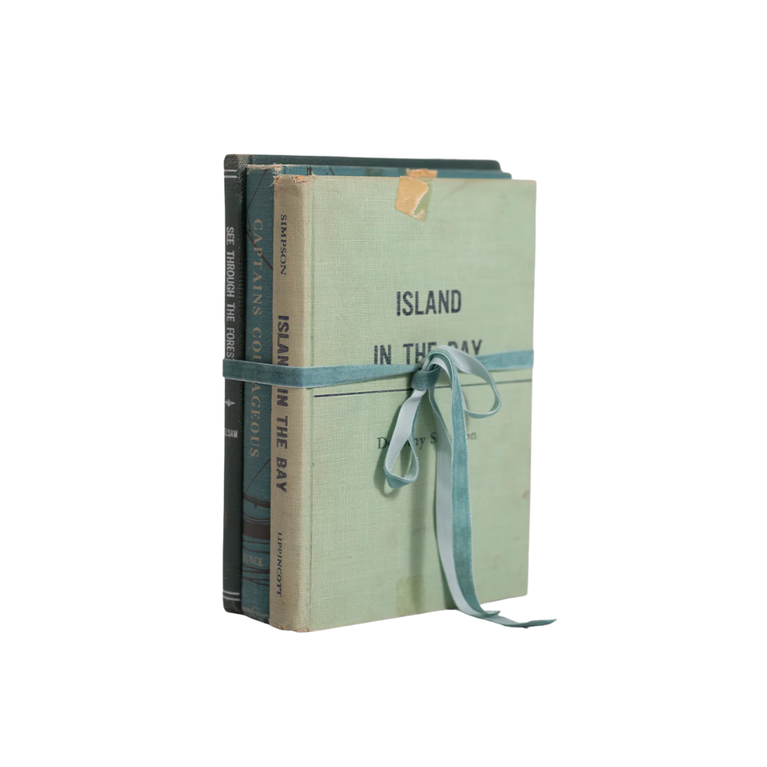 Set of 3 Vintage Books - Cool Tones