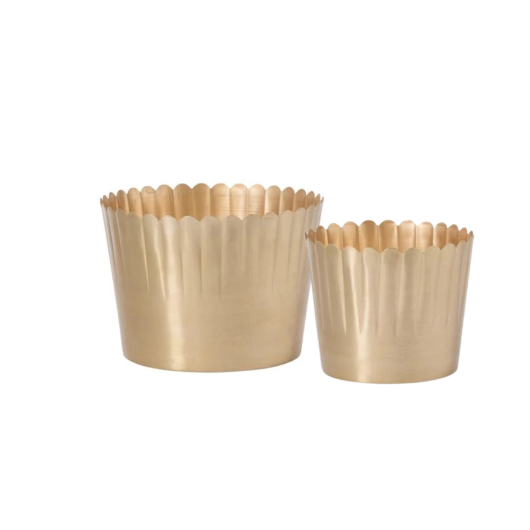 Brushed Metal Scalloped Rim Pot