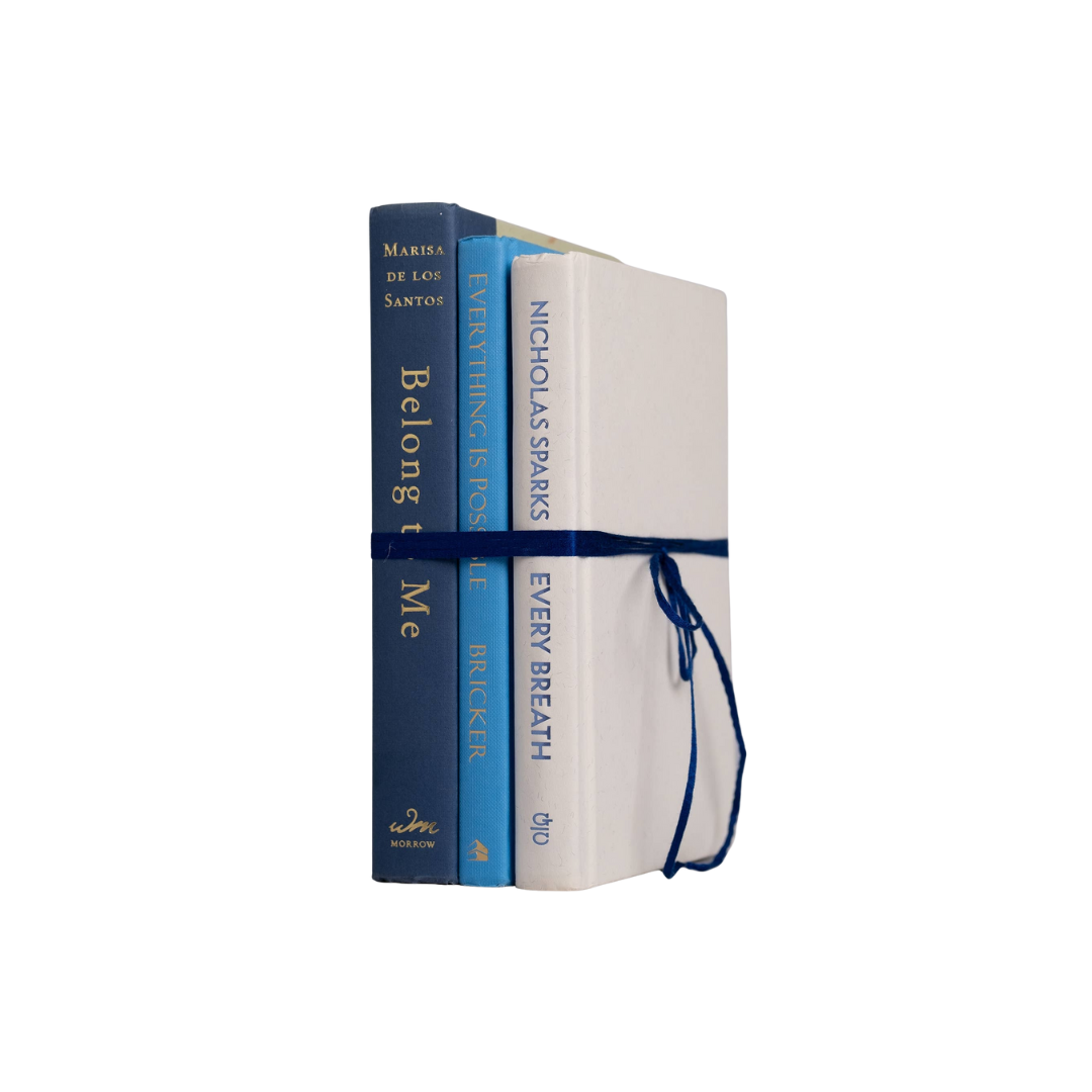 Set of 3 Decorative Books - Blue Tones