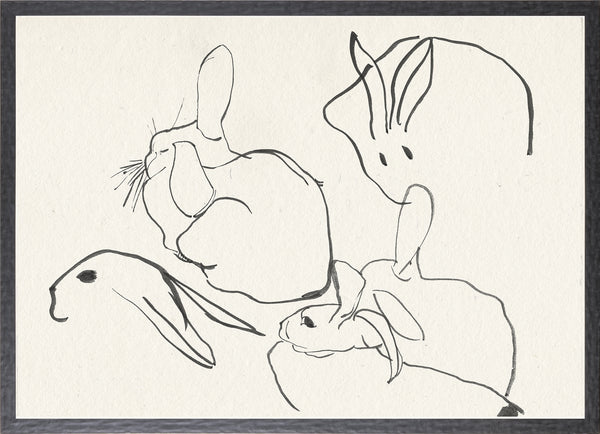 Rabbit Study - 1896
