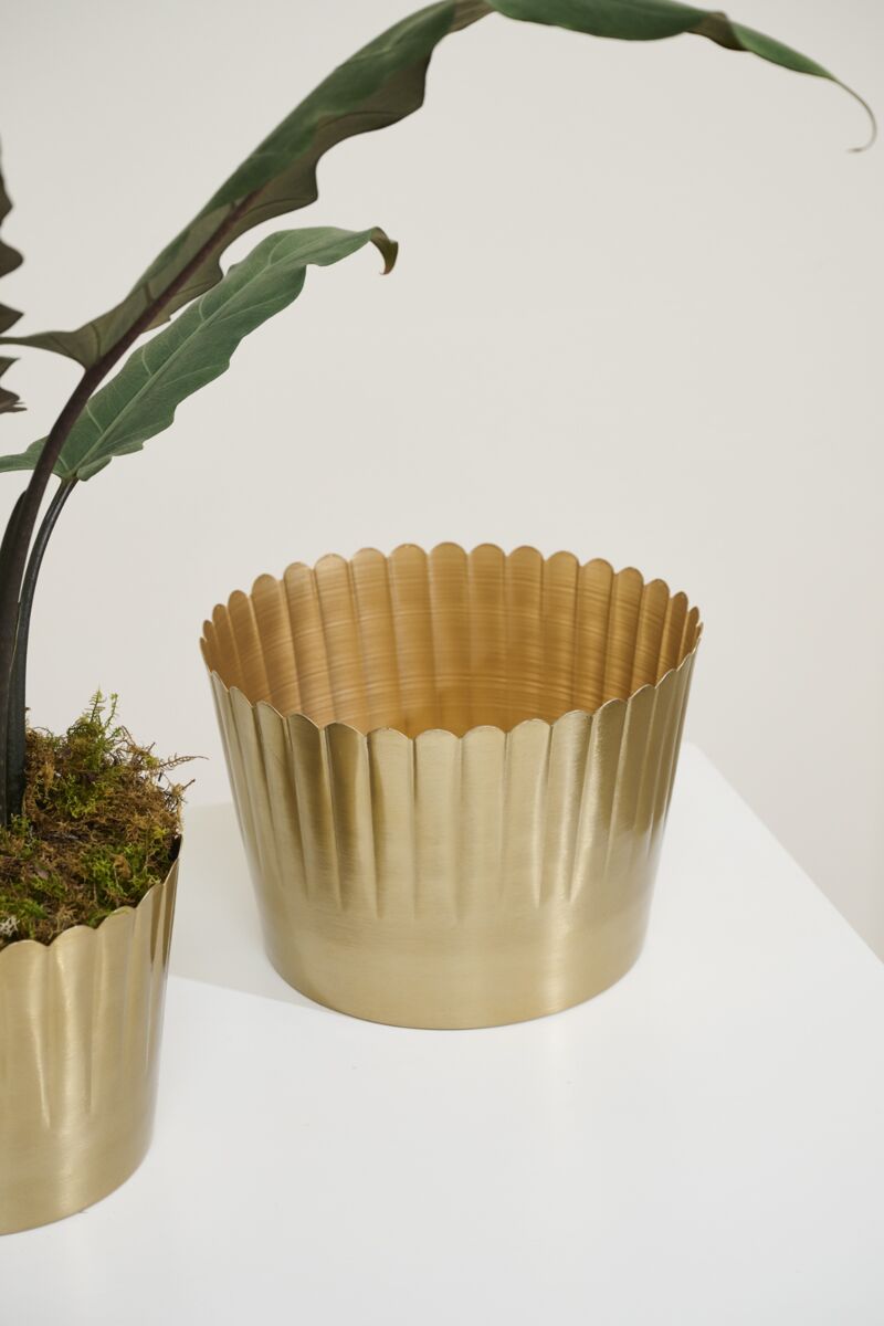 Brushed Metal Scalloped Rim Pot