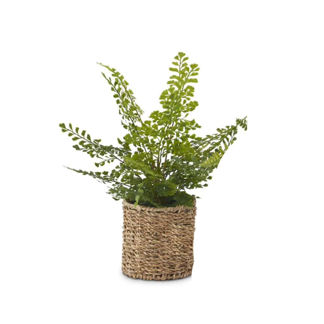 Assorted Faux Ferns in Woven Basket