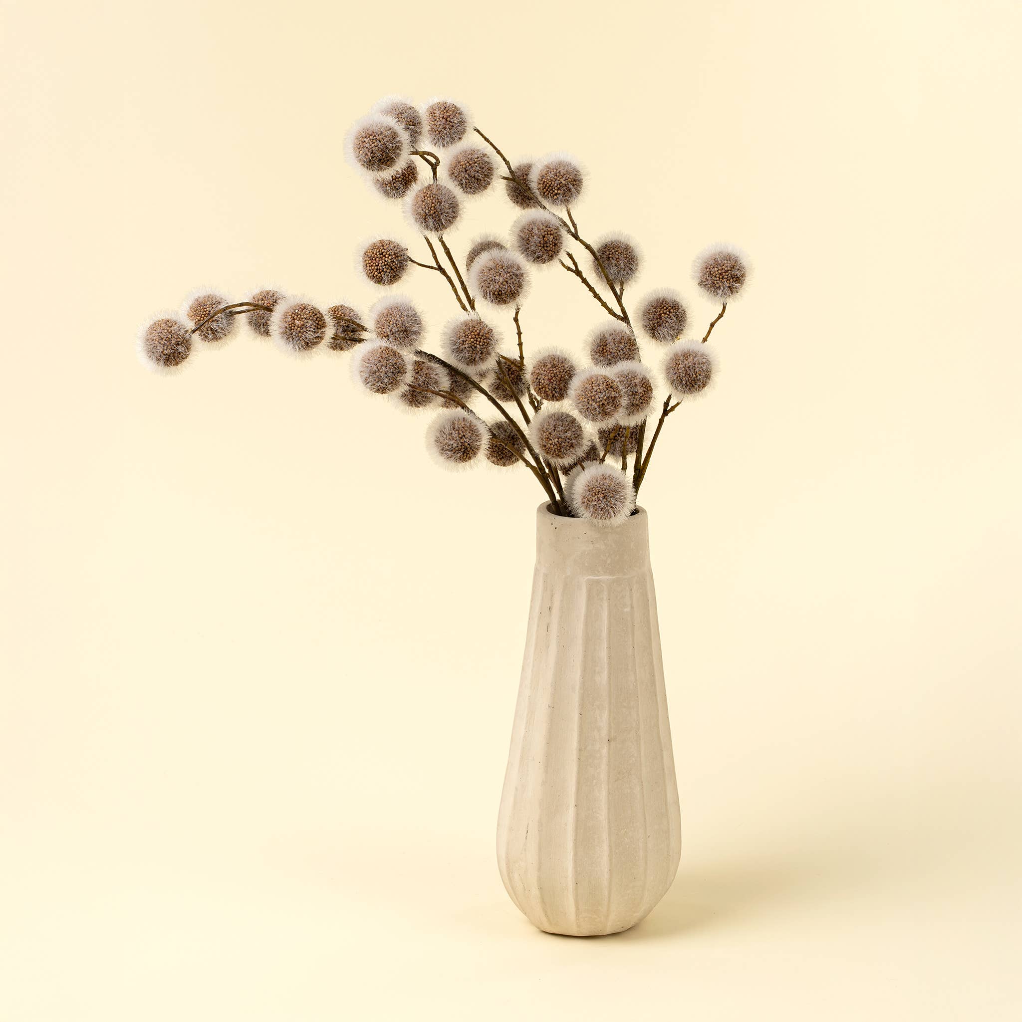 Sycamore Pod Stem