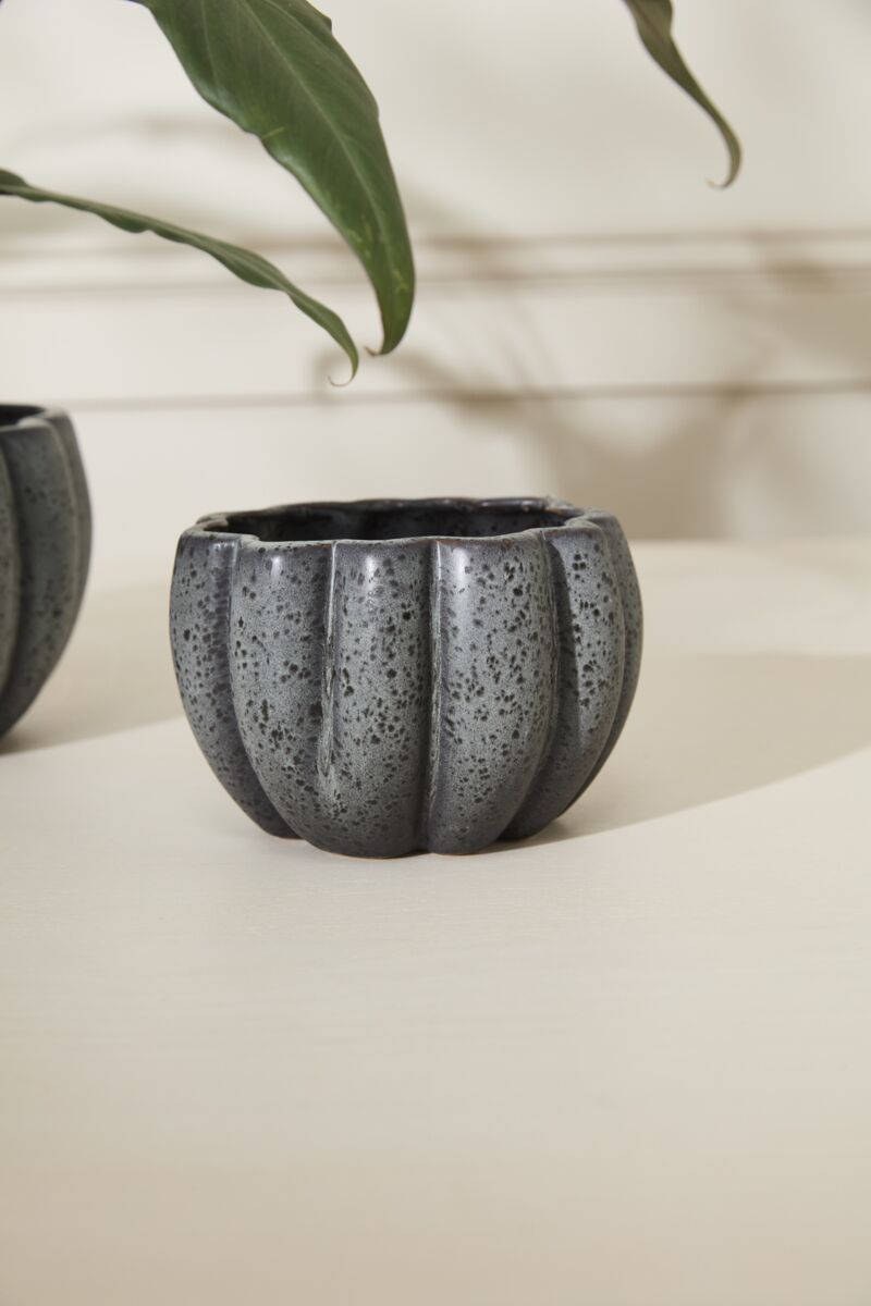 Spotted Pumpkin Pot