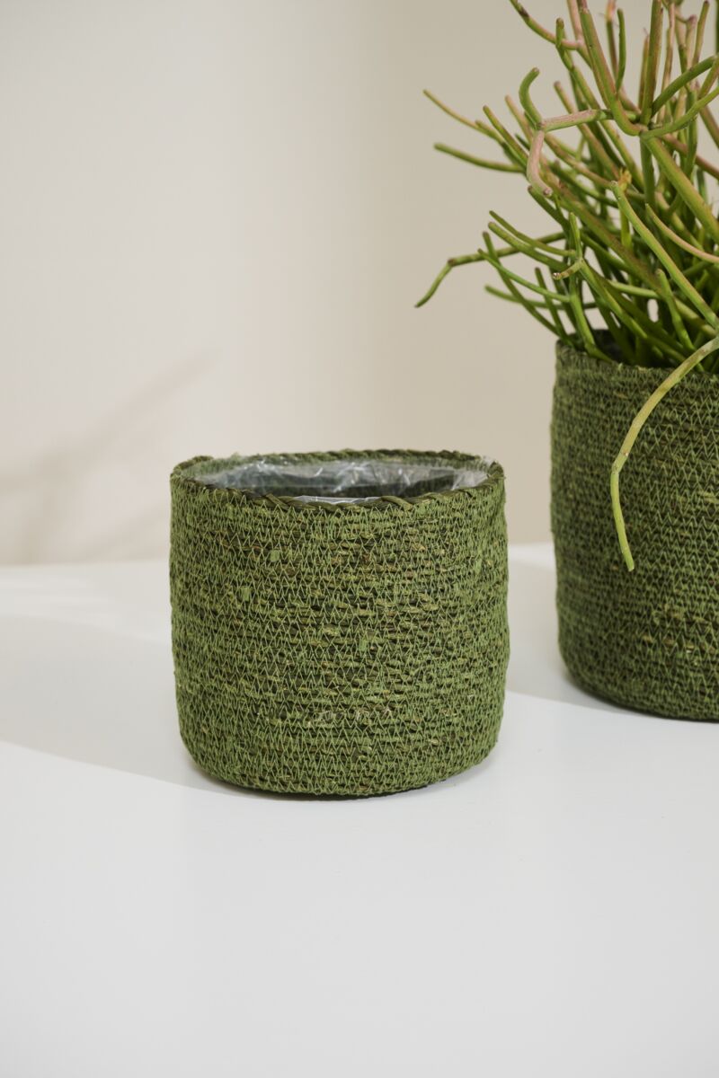 Green Seagrass Basket Planters