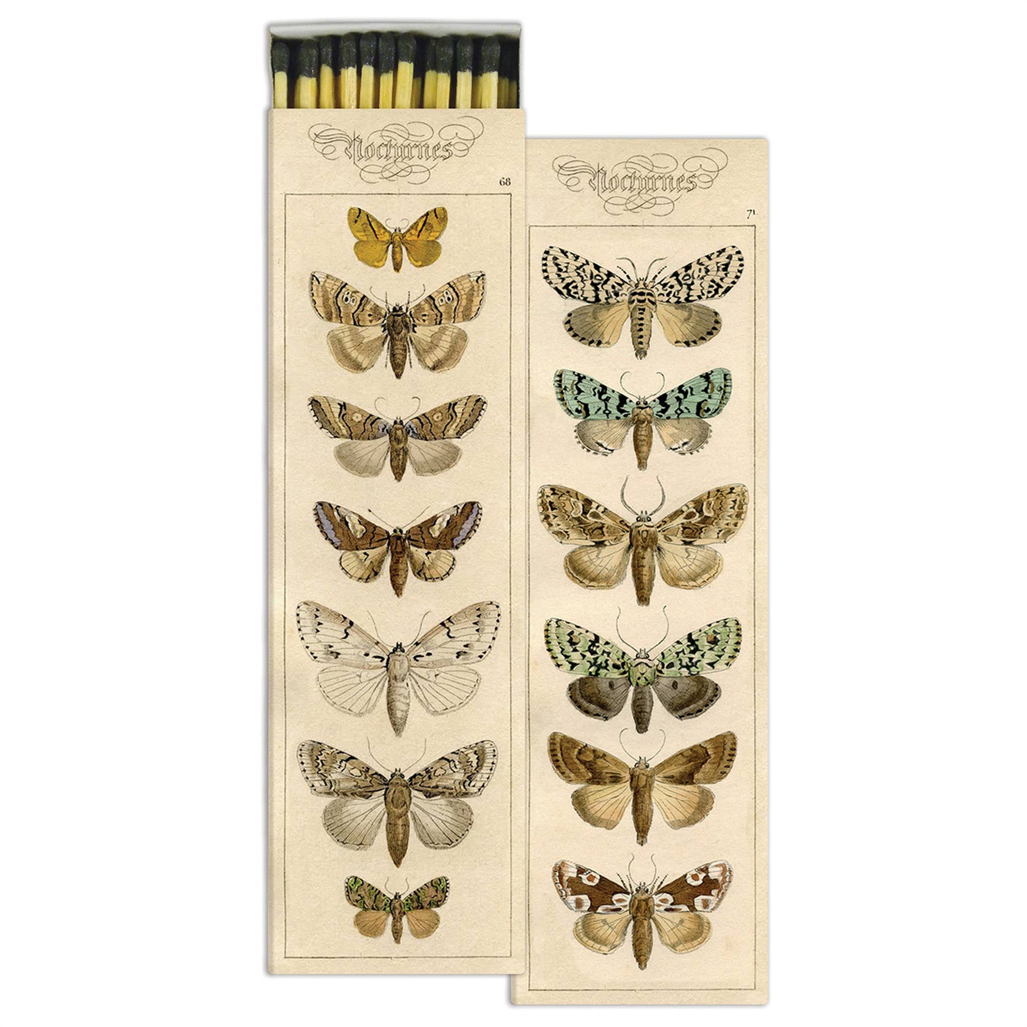 Moths Matches