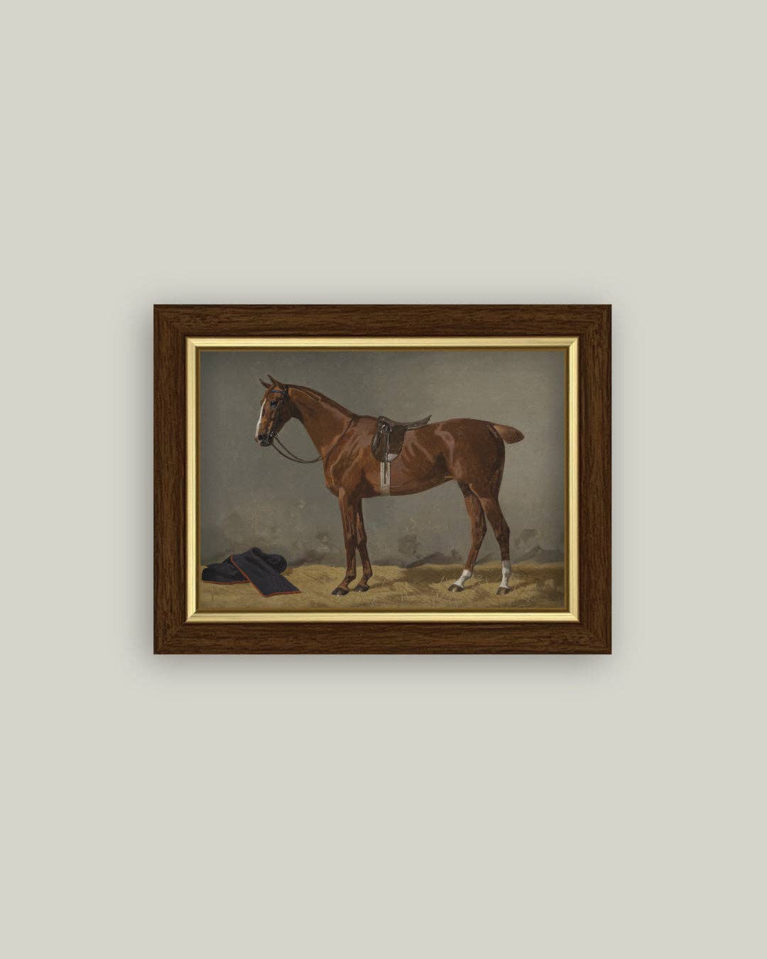 Saddled Brown Horse