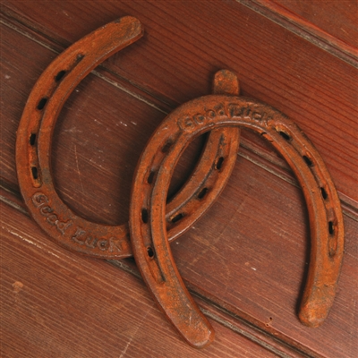Good Luck Cast Iron Horse Shoe