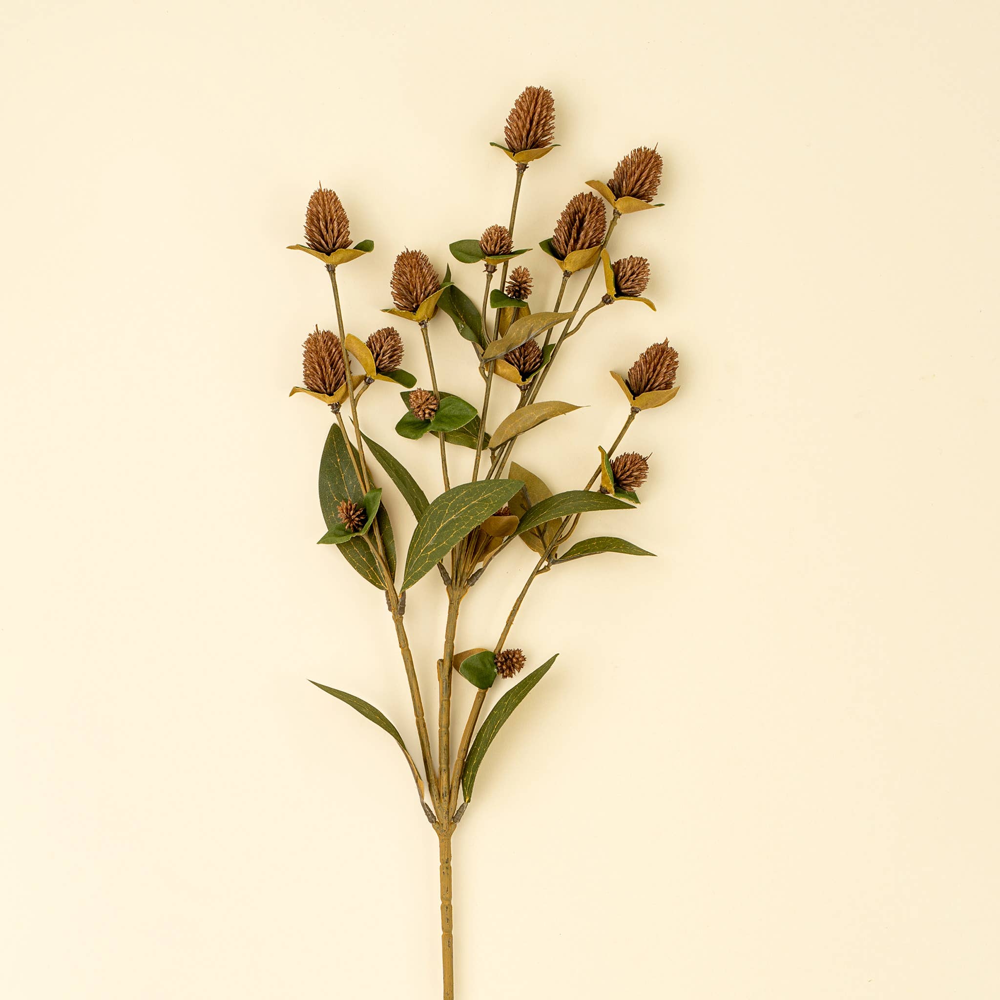 Globe Amaranth Spray