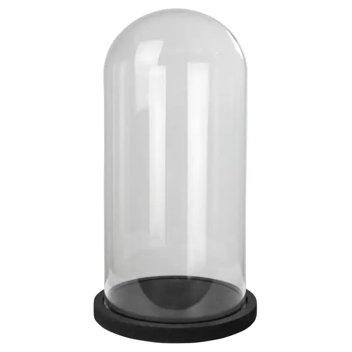 Nell Glass Dome with Wood Base