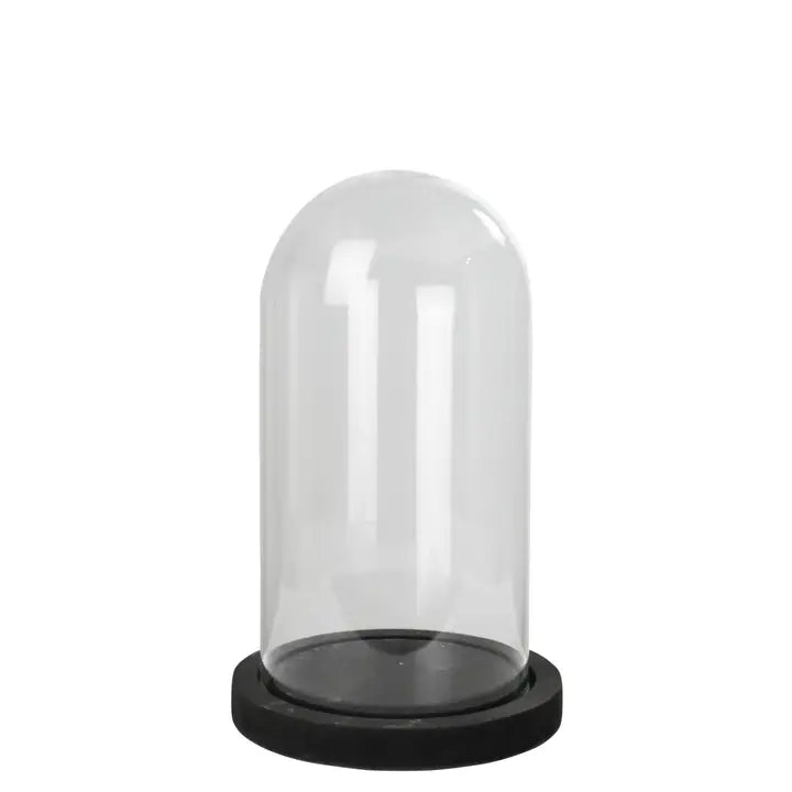 Nell Glass Dome with Wood Base