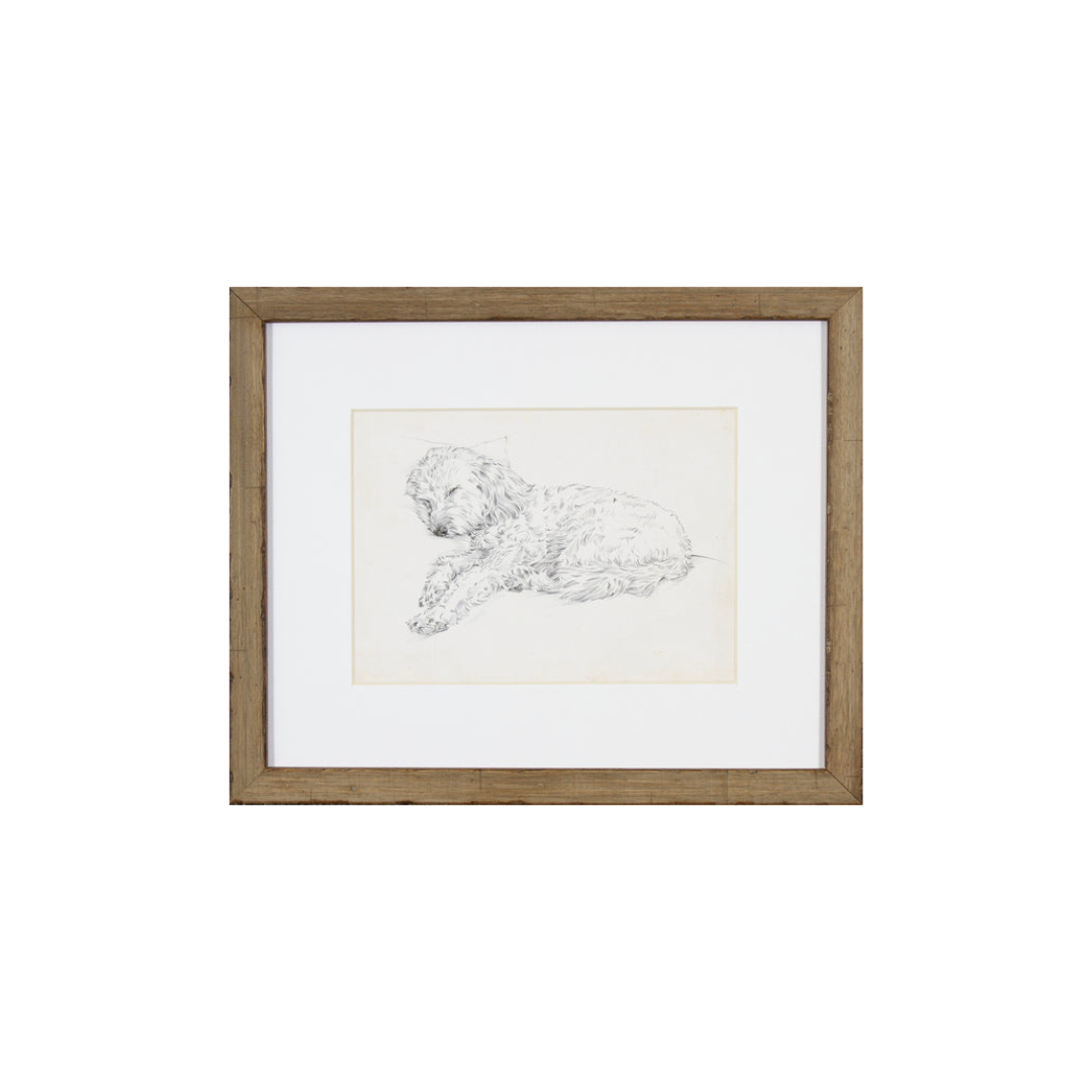 Sleeping Dog Sketch Art