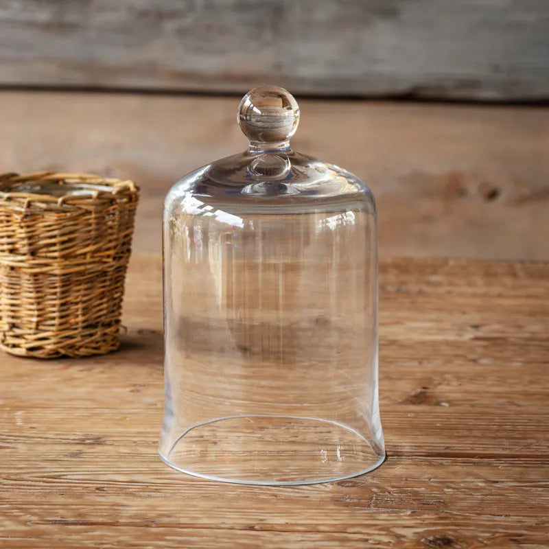 Clear Glass Cloche