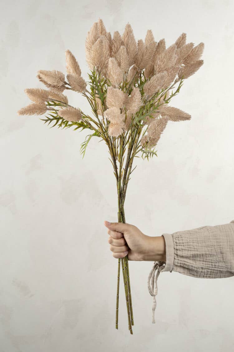 Pussytail Grass Spray