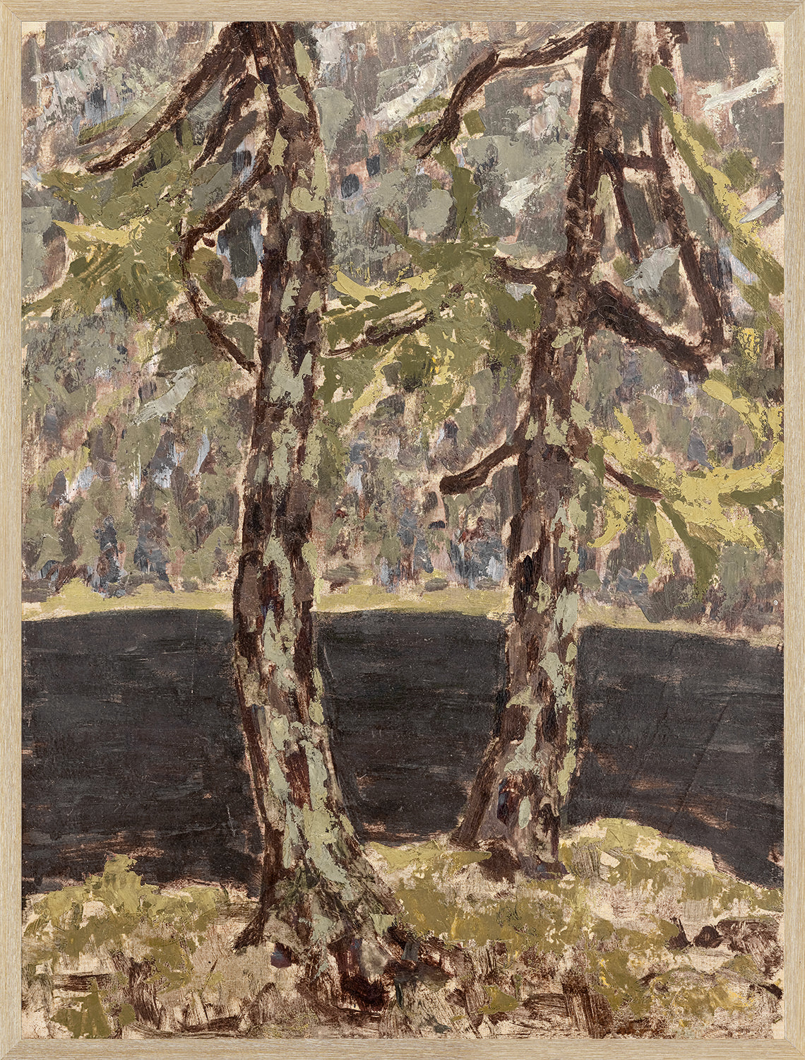 Larch Trees C. 1914