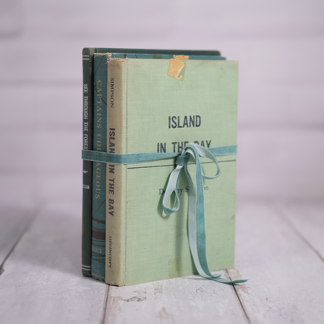 Set of 3 Vintage Books - Cool Tones