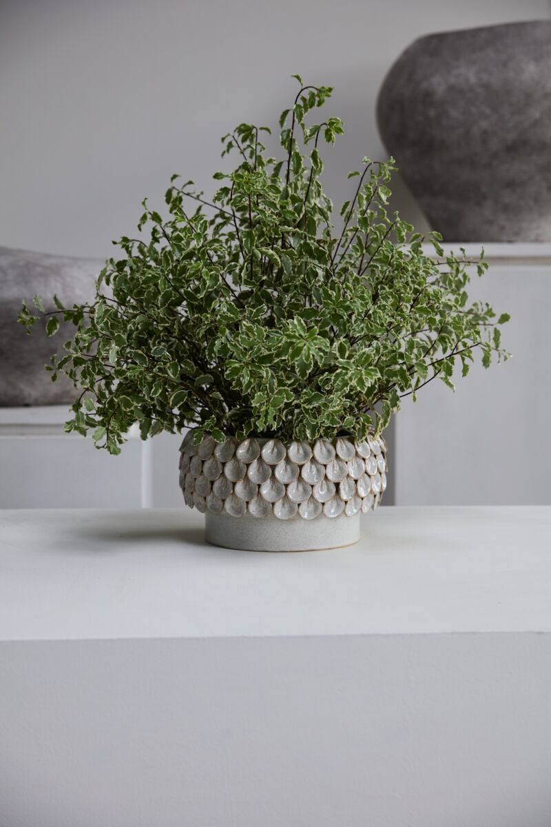 Muiris Bowl