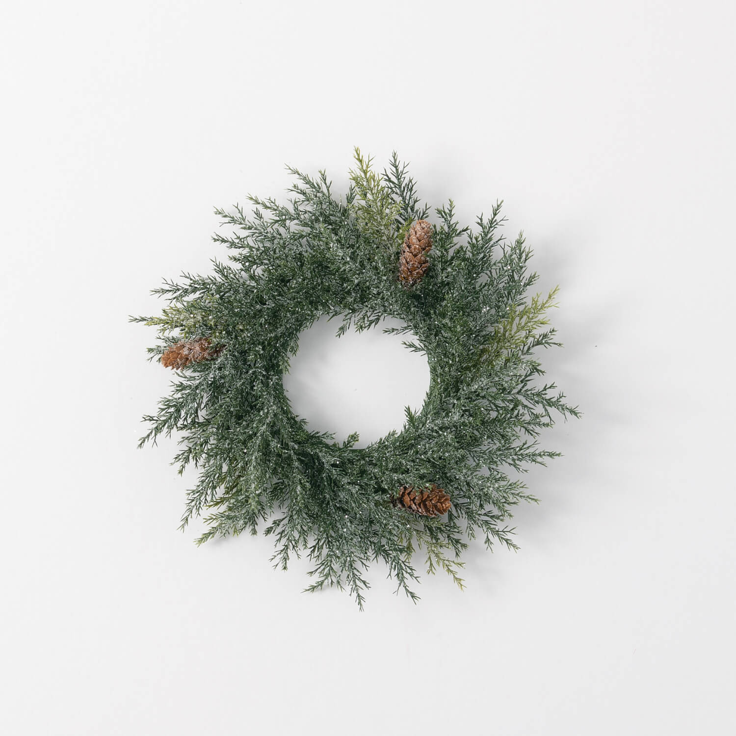 Frosted Arborvitae Ring