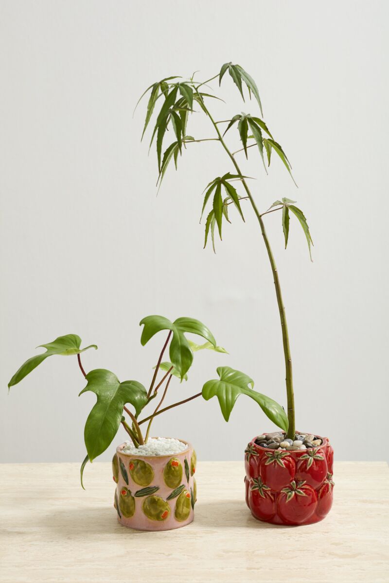Olive Planter