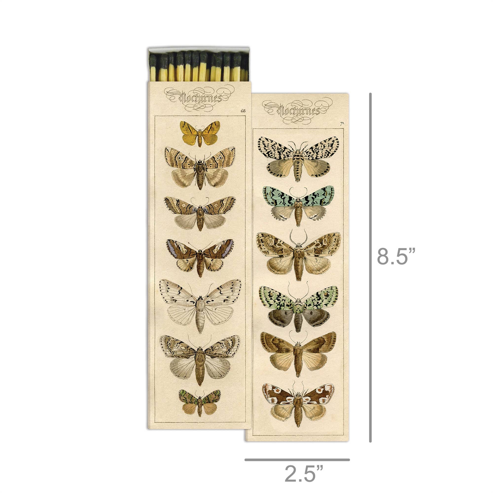 Moths Matches