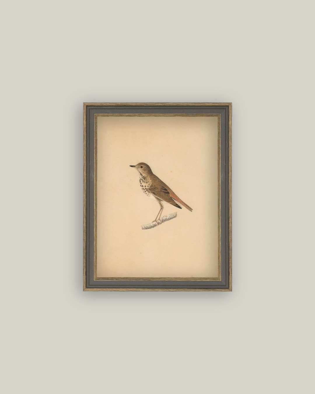 Birdie Framed Antique Art