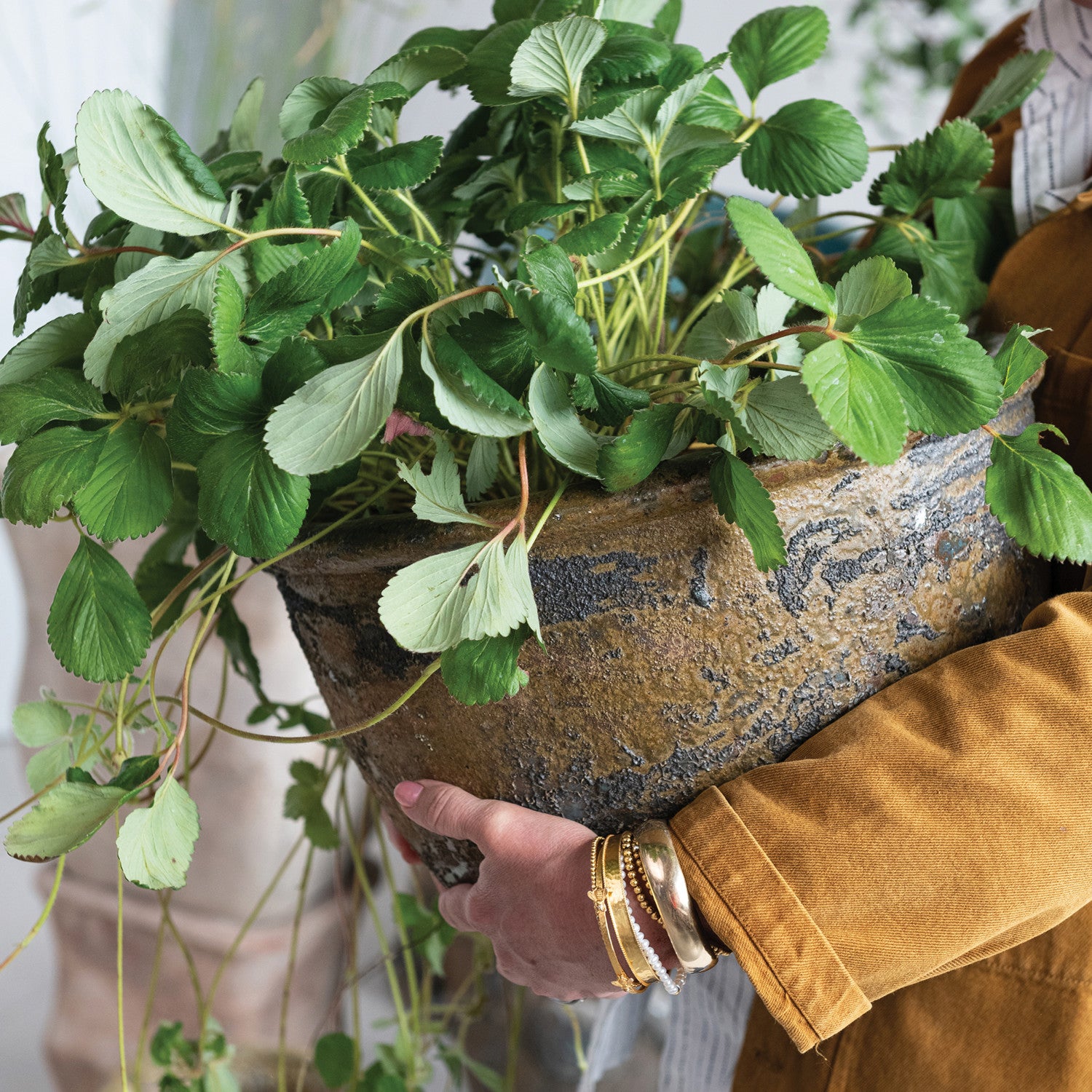 Artisan Clay Outdoor Planters