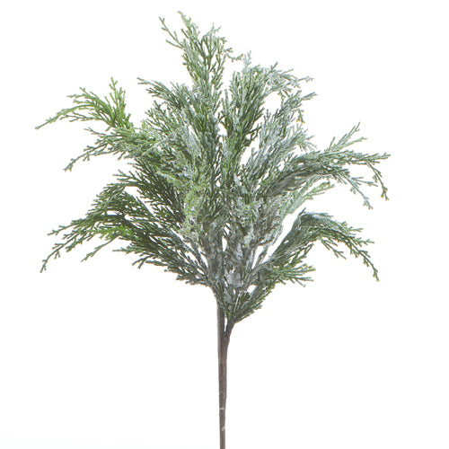 Snow Dusted Cedar Pick