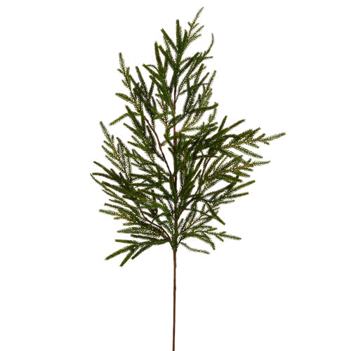 Norfolk Pine Branch Pick