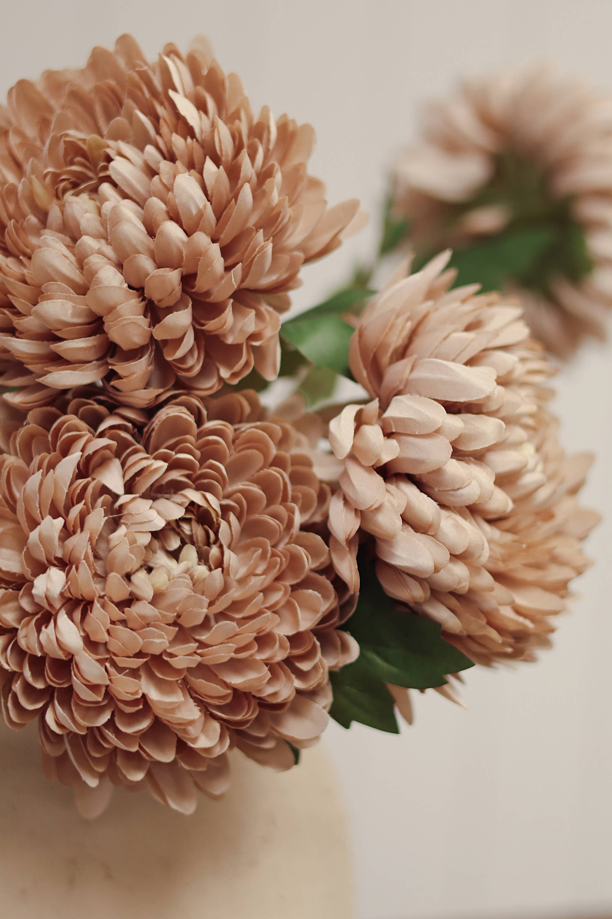 Dusty Pink Chrysanthemum Stem