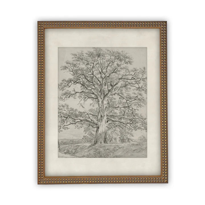 The Oak Tree Framed Canvas Art