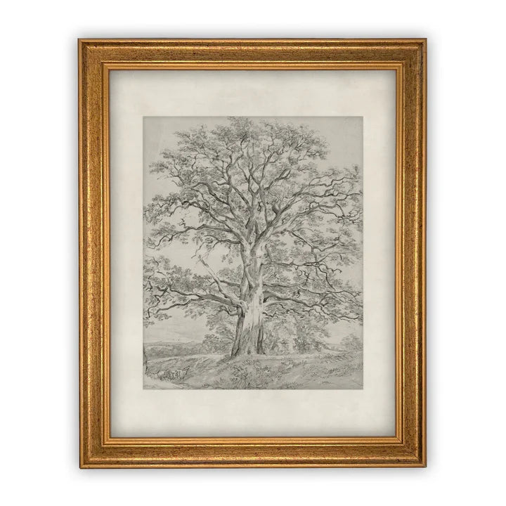 The Oak Tree Framed Canvas Art