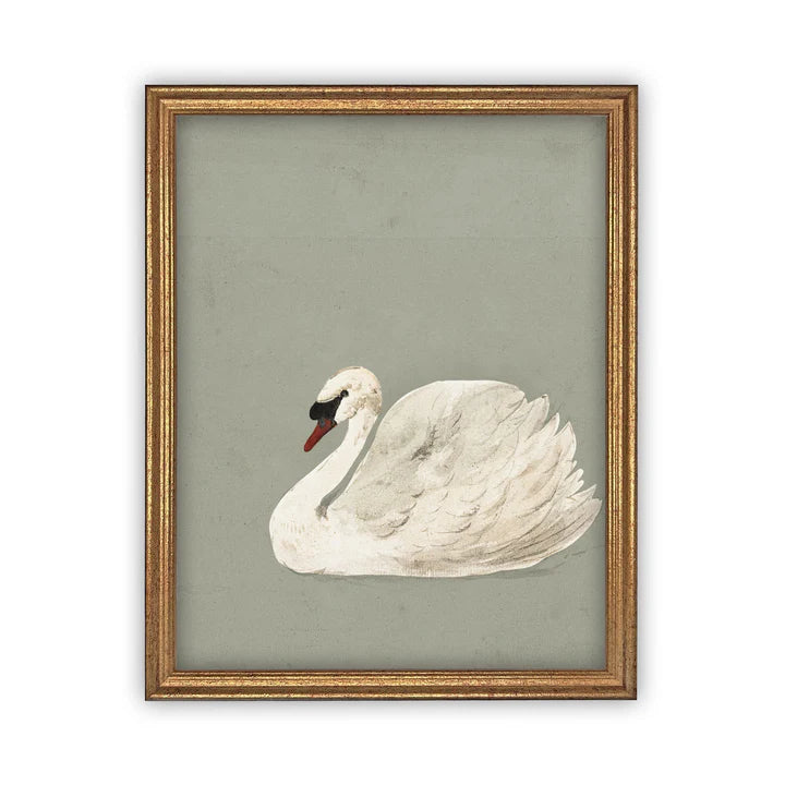 Pale Green Swan Framed Canvas Print