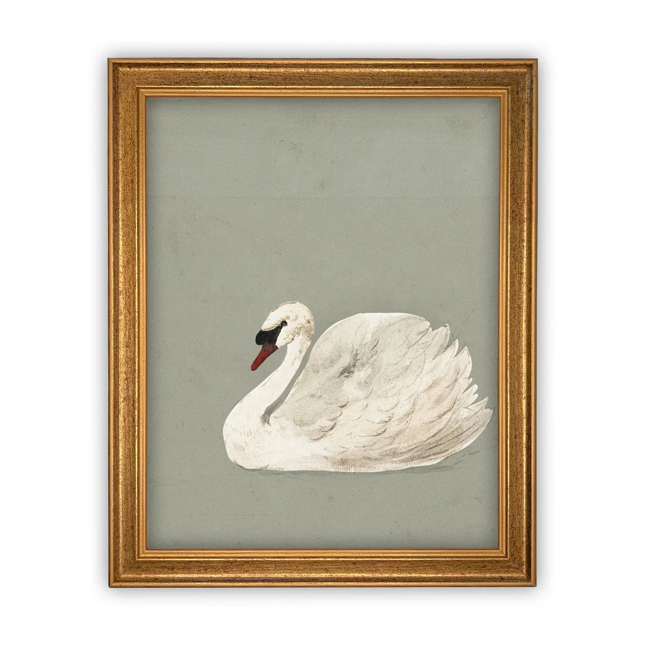 Pale Green Swan Framed Canvas Print
