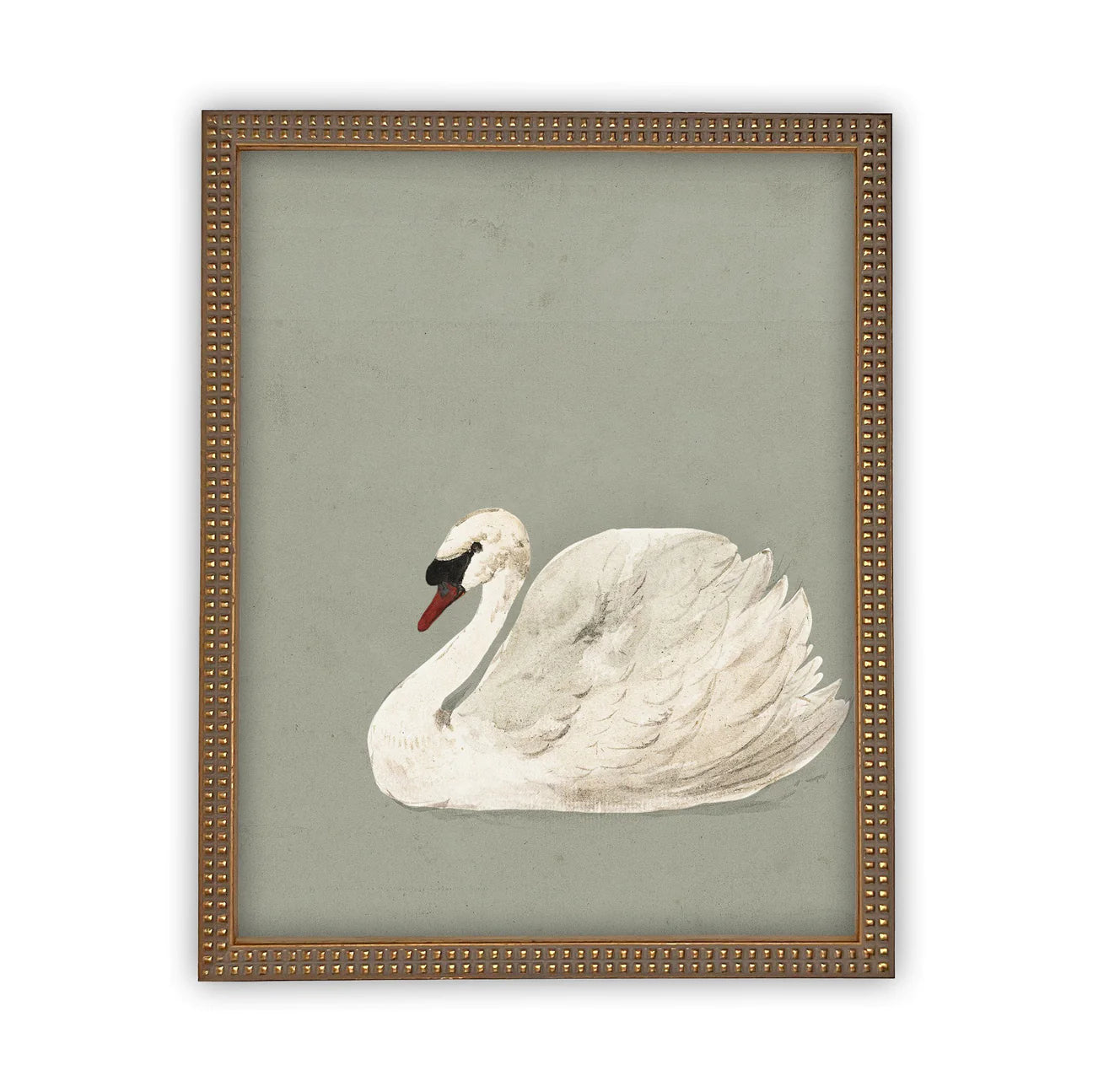 Pale Green Swan Framed Canvas Print