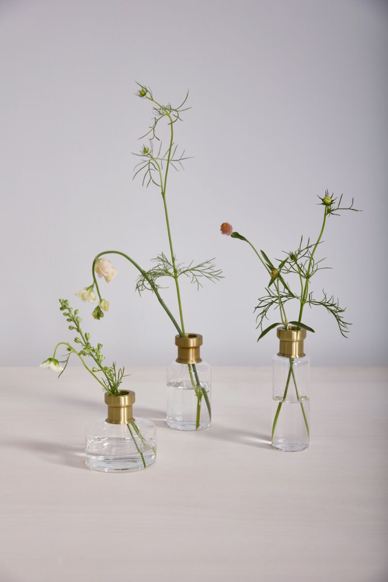 Janie Budvase Collection