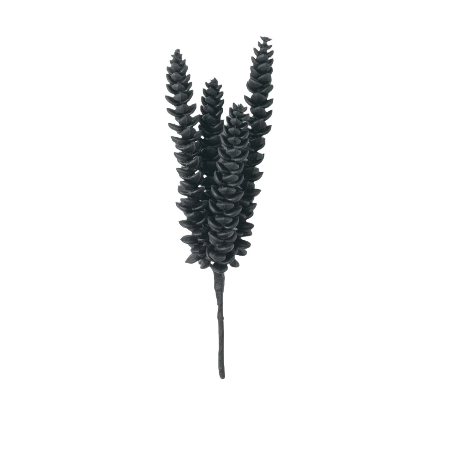 succulent black stem Black Long Stem Succulent Pick