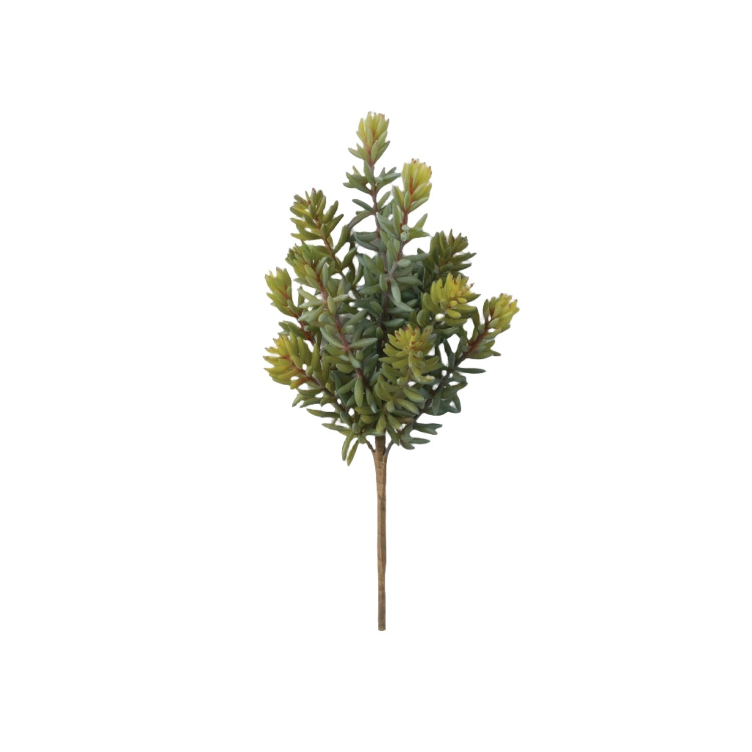 succulent picks Green Succulent Pick