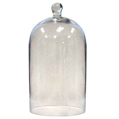 Clear Glass Dome