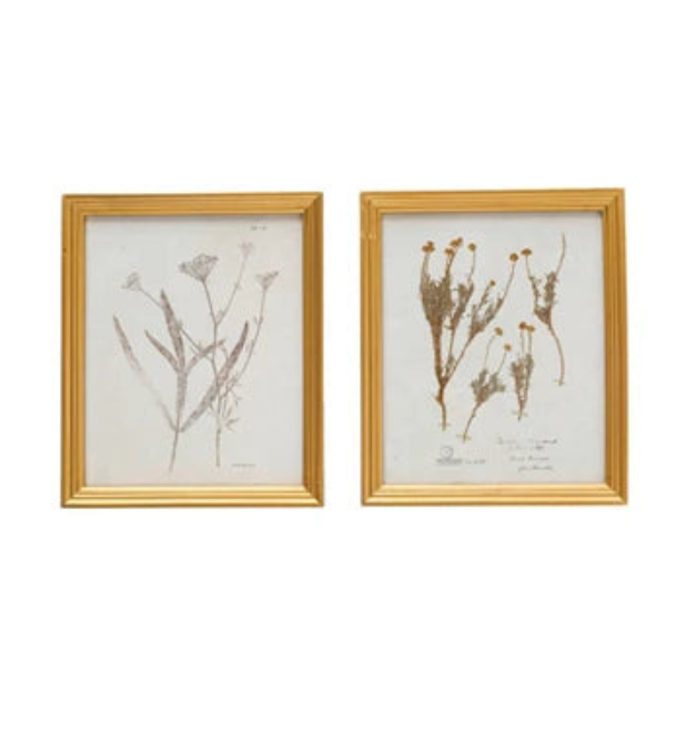 Illustrated Botanicals Wall Art