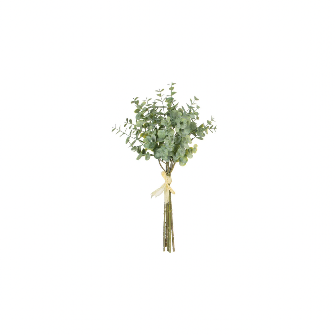 Eucalyptus Bundles