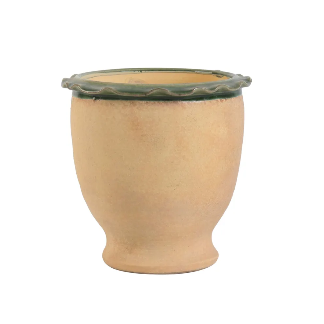 Green Rimmed Terracotta Pot