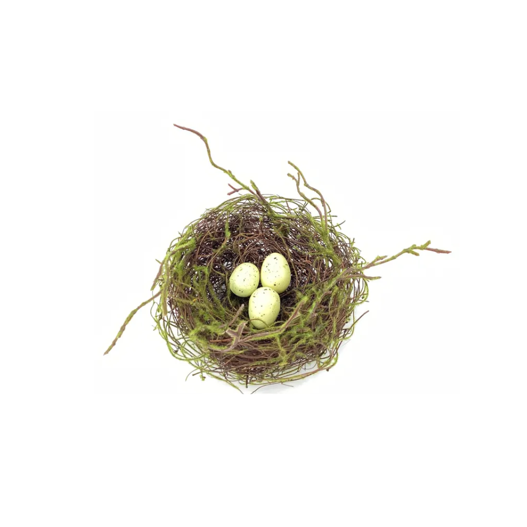 Spring Nest with Eggs