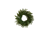 Norfolk Wreath Mini