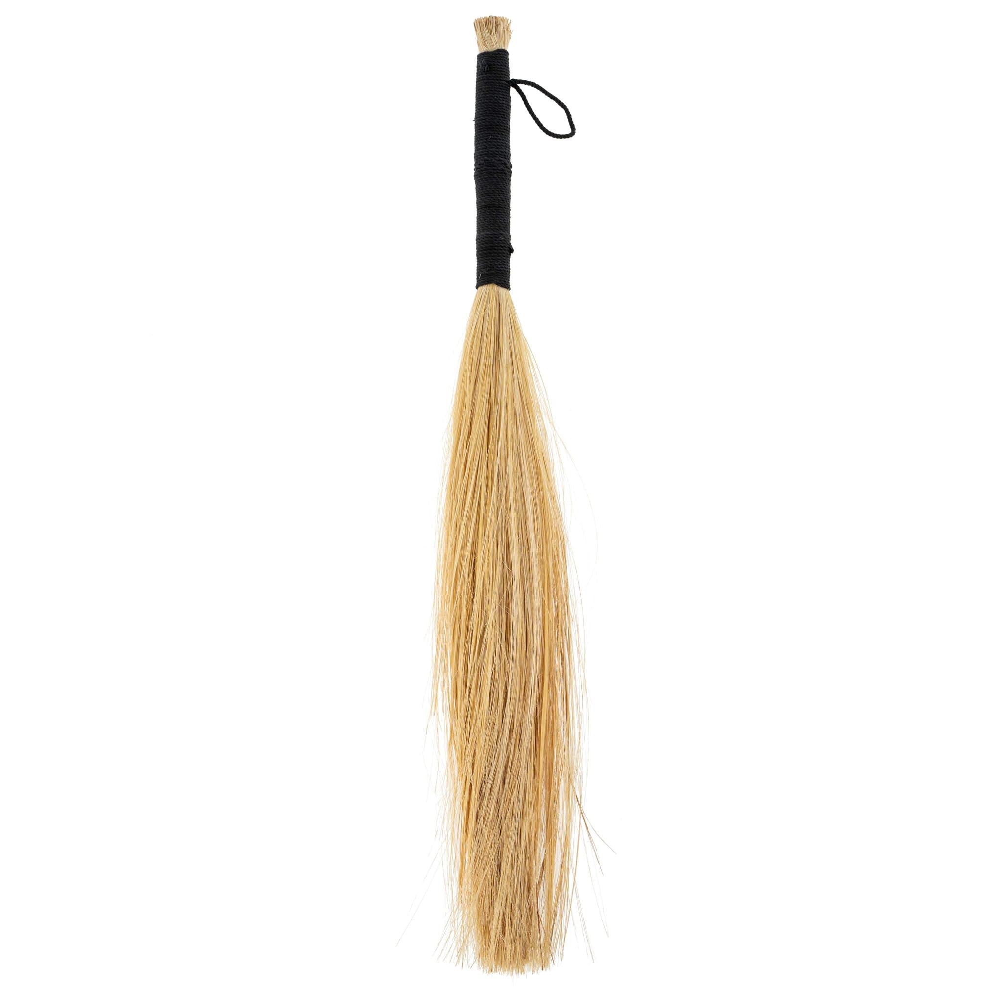 Large Seagrass Sweeper