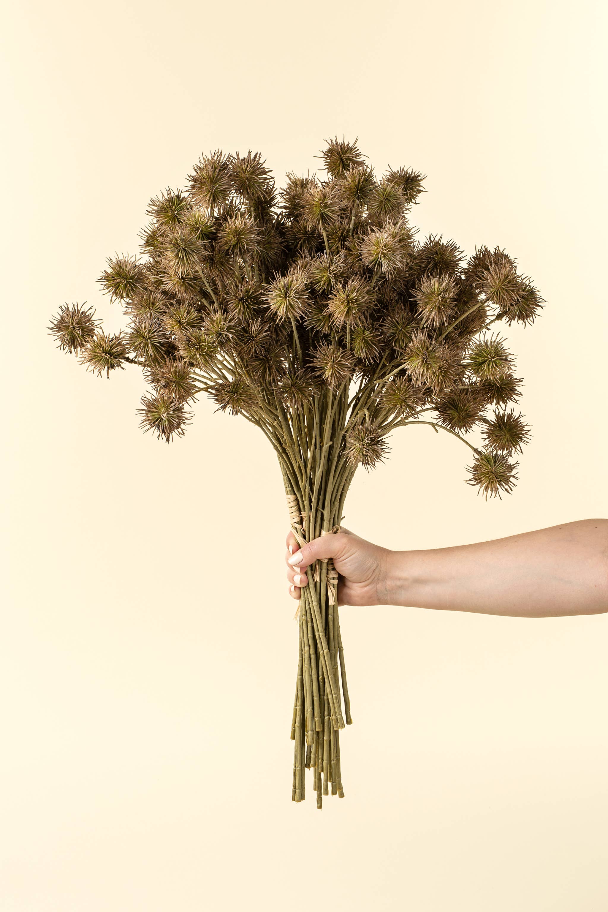Purple Green Chestnut Bouquet