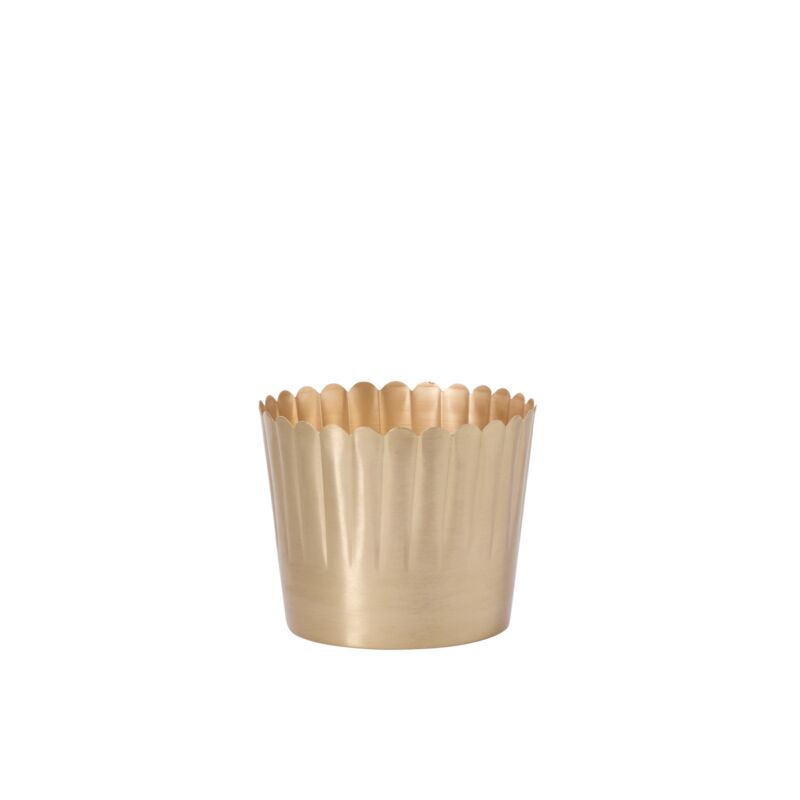 Brushed Metal Scalloped Rim Pot