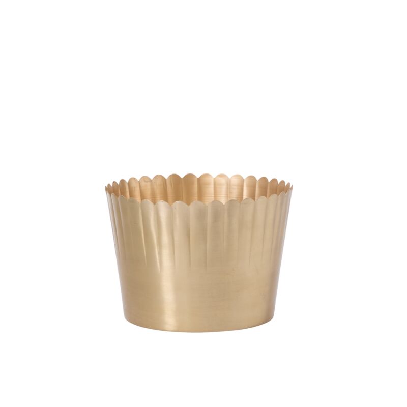 Brushed Metal Scalloped Rim Pot