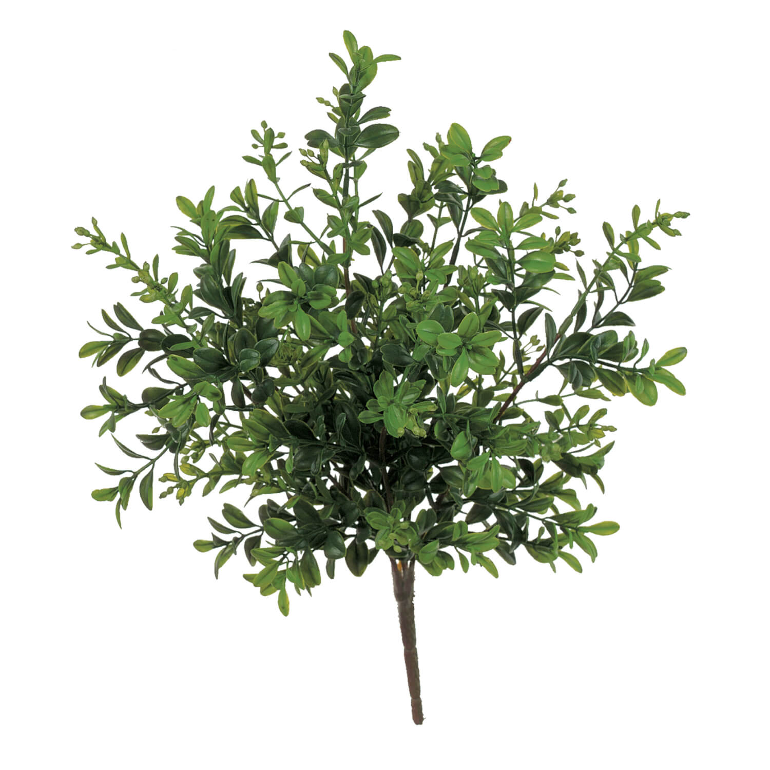 Boxwood Pick