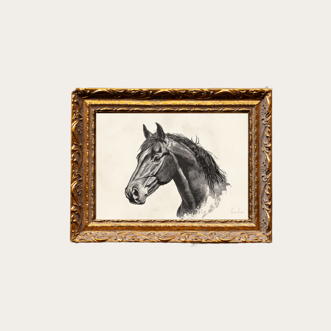 Stallion Sketch in Brass Gold Framee