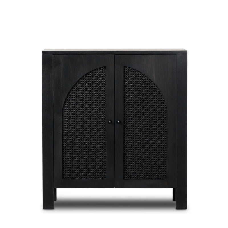 Theresa Storage or Bar Cabinet